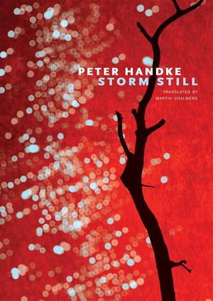 Handke, Peter. Storm Still. Seagull Books, 2018.