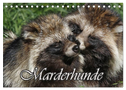Marderhunde (Tischkalender 2025 DIN A5 quer), CALVENDO Monatskalender