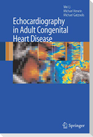 Echocardiography in Adult Congenital Heart Disease