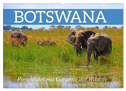 Botswana- Pirschfahrt mit Garantie auf Wildlife (Wandkalender 2024 DIN A2 quer), CALVENDO Monatskalender