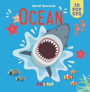 Hawcock, David. Ocean. nuinui, 2024.