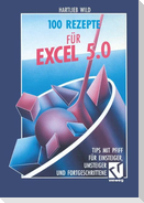 100 Rezepte für Excel 5.0