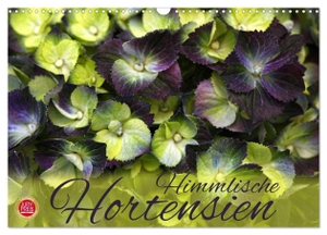 Cross, Martina. Himmlische Hortensien (Wandkalender 2025 DIN A3 quer), CALVENDO Monatskalender - 12 wunderbare Hortensien Portraits. Calvendo, 2024.