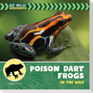 Poison Dart Frogs in the Wild