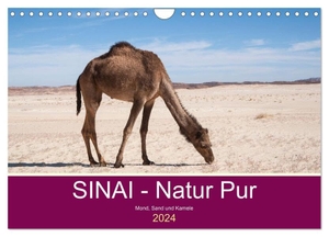 Wiens, Claudia. Sinai - Natur Pur (Wandkalender 2024 DIN A4 quer), CALVENDO Monatskalender - Entdecken Sie atemberaubenden Landschaften.. Calvendo, 2023.