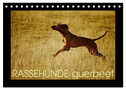 RASSEHUNDE querbeet (Tischkalender 2024 DIN A5 quer), CALVENDO Monatskalender