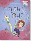 Floh im Ohr