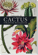 Selección de cactus y plantas suculentas