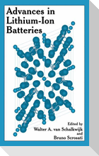Advances in Lithium-Ion Batteries