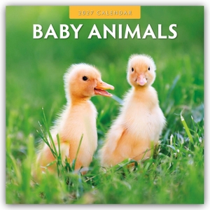 Red, Robin. Baby Animals - Tierkinder - Tierbabys 2027 - 16-Monatskalender - Original Red Robin Publishing Ltd-Kalender [Mehrsprachig] [Kalender]. Browntrout Verlags GmbH, 2026.