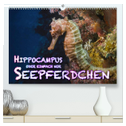 Hippocampus oder einfach nur Seepferdchen (hochwertiger Premium Wandkalender 2024 DIN A2 quer), Kunstdruck in Hochglanz
