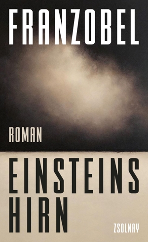 Franzobel. Einsteins Hirn - Roman. Zsolnay-Verlag, 2023.