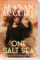 One Salt Sea