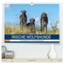 Irische Wolfshunde (hochwertiger Premium Wandkalender 2025 DIN A2 quer), Kunstdruck in Hochglanz