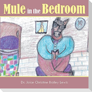 Mule in the bedroom