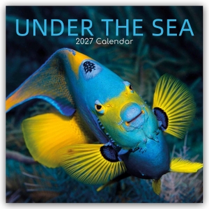 Gifted Stationery Co. Ltd. Under the Sea - Tropische Fische 2027 - 16-Monatskalender - Original Gifted Stationery-Kalender [Mehrsprachig] [Kalender]. Browntrout Verlags GmbH, 2026.