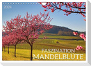 FASZINATION MANDELBLÜTE (Wandkalender 2024 DIN A4 quer), CALVENDO Monatskalender