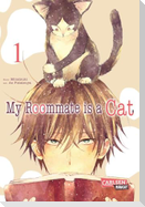 My Roommate is a Cat 1