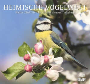 DUMONT Kalender (Hrsg.). Heimische Vogelwelt 2025 - DUMONT Wandkalender - mit den wichtigsten Feiertagen - Format 38,0 x 35,5 cm. Neumann Verlage GmbH & Co, 2024.