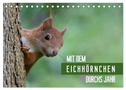 Mit dem Eichhörnchen durchs Jahr (Tischkalender 2024 DIN A5 quer), CALVENDO Monatskalender