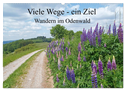 Viele Wege - ein Ziel Wandern im Odenwald (Wandkalender 2024 DIN A2 quer), CALVENDO Monatskalender