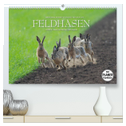 Emotionale Momente: Feldhasen (hochwertiger Premium Wandkalender 2025 DIN A2 quer), Kunstdruck in Hochglanz