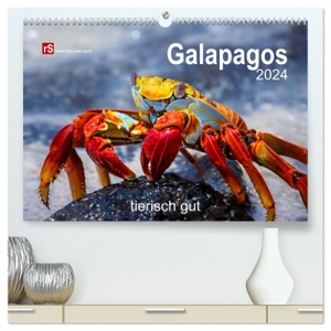Bergwitz, Uwe. Galapagos 2024 tierisch gut (hochwertiger Premium Wandkalender 2024 DIN A2 quer), Kunstdruck in Hochglanz - Arche Noah im Pazifik. Calvendo, 2023.