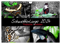 Schmetterlinge 2024 - Tropische Juwelen (Wandkalender 2024 DIN A4 quer), CALVENDO Monatskalender