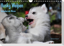 Husky Welpen (Wandkalender 2022 DIN A4 quer)