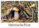 Heimische Pilze (Wandkalender 2025 DIN A2 quer), CALVENDO Monatskalender