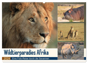 Wildtierparadies Afrika - Eine Foto-Reise durch die Savannen (Wandkalender 2024 DIN A2 quer), CALVENDO Monatskalender
