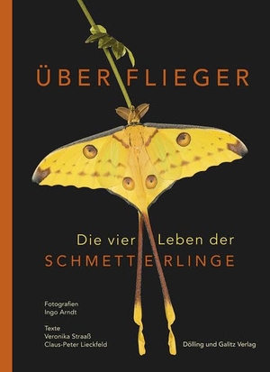 Straaß, Veronika / Claus-Peter Lieckfeld. Überflieger. Die vier Leben der Schmetterlinge. Dölling und Galitz, 2022.