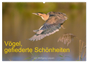 Vögel, Gefiederte Schönheiten (Wandkalender 2024 DIN A2 quer), CALVENDO Monatskalender