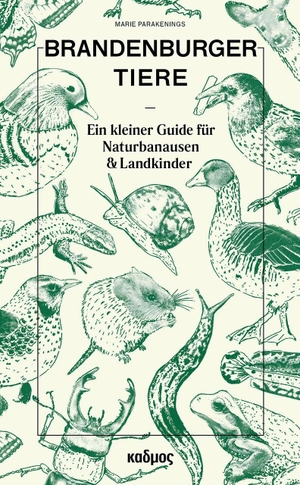 Parakenings, Marie. Brandenburger Tiere - Ein kleiner Guide für Naturbanausen & Landkinder. Kulturverlag Kadmos, 2026.
