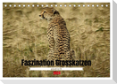 Faszination Grosskatzen gemalt in Öl (Tischkalender 2024 DIN A5 quer), CALVENDO Monatskalender
