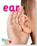 Alpha Stars ear