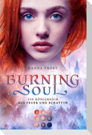 Burning Soul (Ein Königreich aus Feuer und Schatten 1)