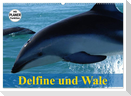 Delfine und Wale (Wandkalender 2024 DIN A2 quer), CALVENDO Monatskalender