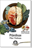 Pánikas