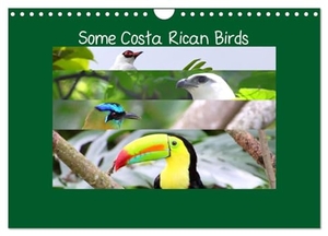 Navarro, Adrian. Some Costa Rican Birds (Wall Calendar 2025 DIN A4 landscape), CALVENDO 12 Month Wall Calendar - Enjoy a little of the great biodiversity you can find in Costa Rica. Calvendo, 2024.