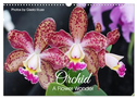 Orchid - A Flower Wonder (Wall Calendar 2025 DIN A3 landscape), CALVENDO 12 Month Wall Calendar