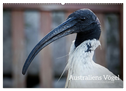 Australiens Vögel (Wandkalender 2025 DIN A2 quer), CALVENDO Monatskalender