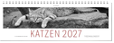 Tischkalender Katzen 2027