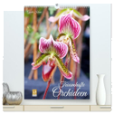 Traumhafte Orchideen (hochwertiger Premium Wandkalender 2024 DIN A2 hoch), Kunstdruck in Hochglanz