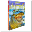 Deadly Predators: Killer Kings of the Animal Kingdom; 6-Book Set