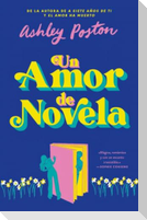 Un Amor de Novela