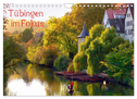 Tübingen im Fokus (Wandkalender 2024 DIN A4 quer), CALVENDO Monatskalender