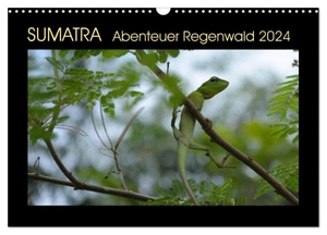 Grallert, Bettina. SUMATRA Abenteuer Regenwald (Wandkalender 2024 DIN A3 quer), CALVENDO Monatskalender - Sumatras Regenwälder in ihrer Schönheit und Vielfalt. Calvendo, 2023.