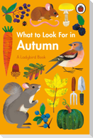 What to Look For in Autumn
