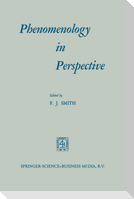 Phenomenology in Perspective
